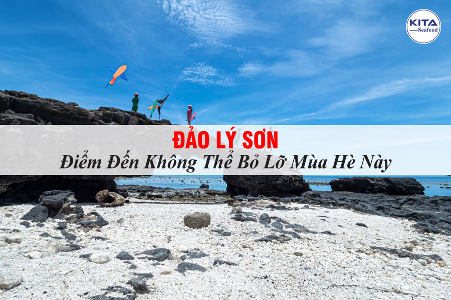 Đảo Lý Sơn - Điểm Đến Không Thể Bỏ Lỡ Mùa Hè Này