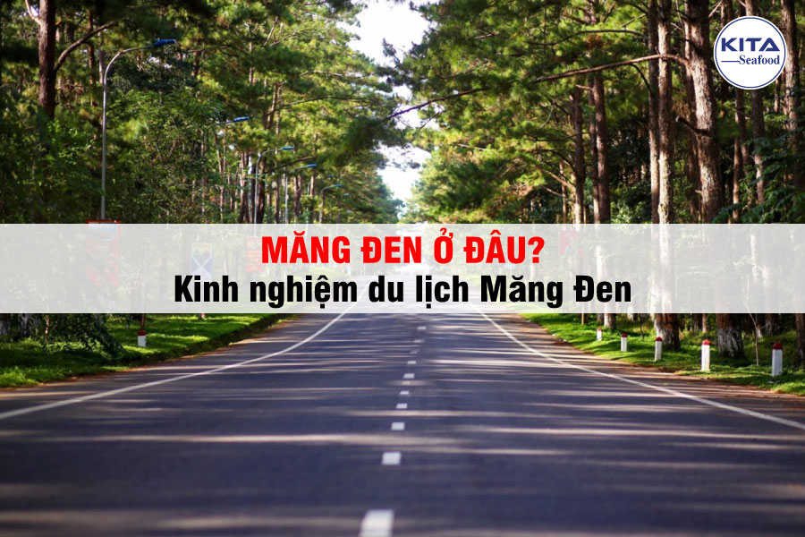Măng Đen Ở Đâu? Kinh Nghiệm Du Lịch Măng Đen