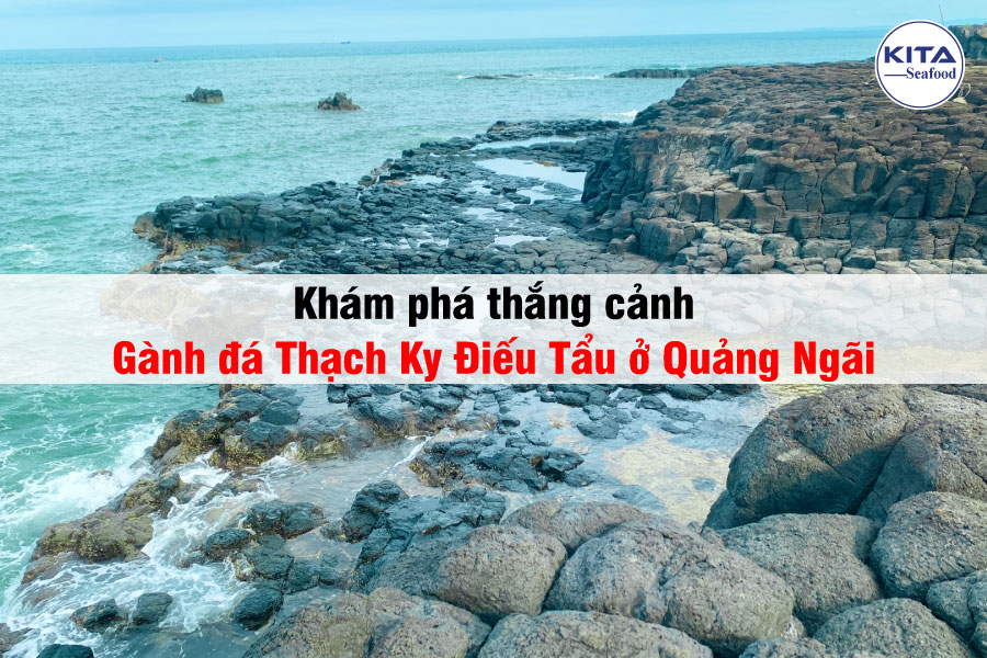 Khám Phá Thắng Cảnh Gành Đá Thạch Ky Điếu Tẩu Ở Quảng Ngãi